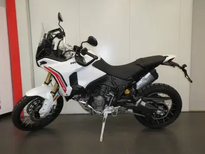 Ducati DesertX (2026) usata
