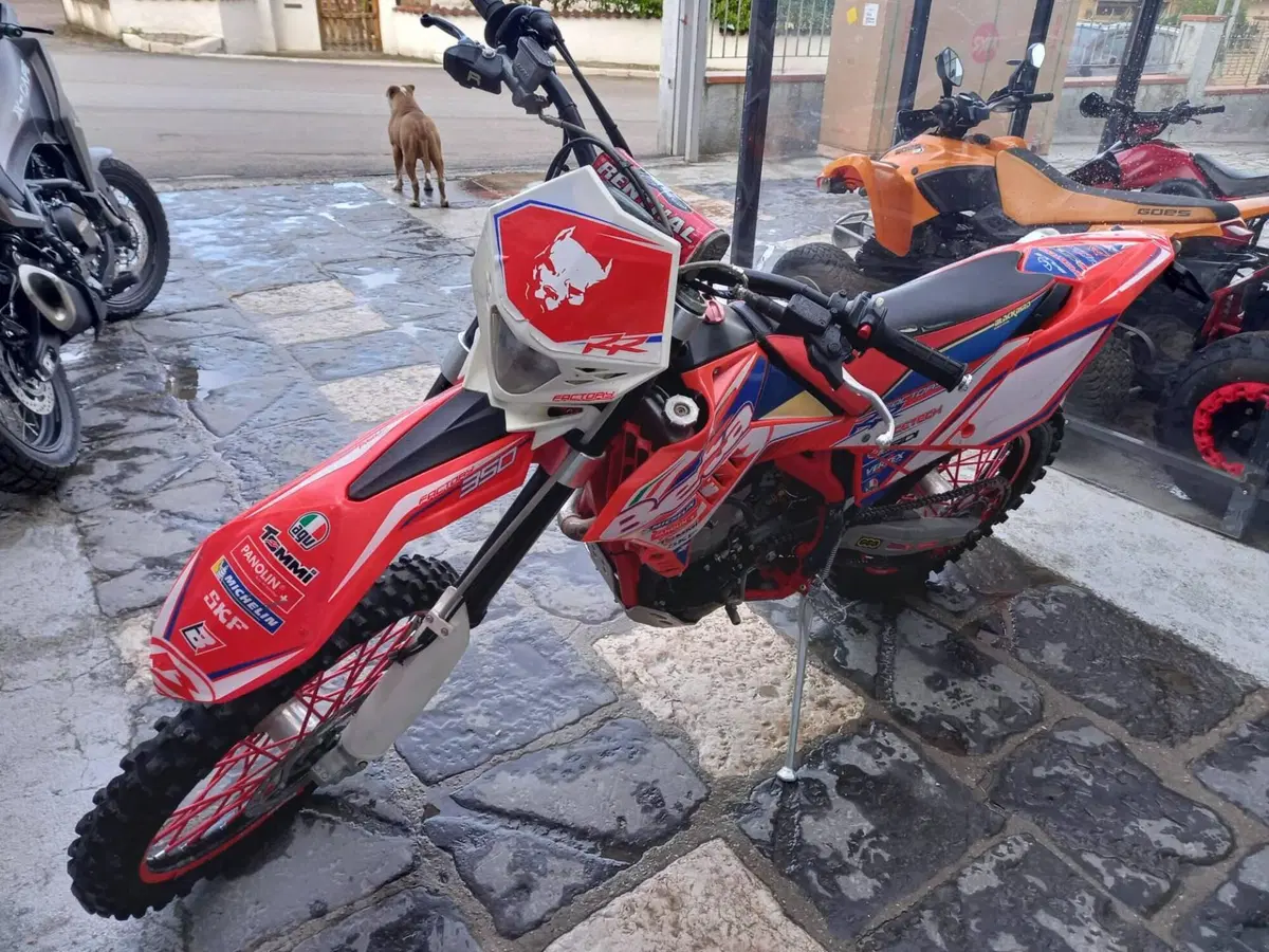Betamotor RR 350 4T Enduro (2012) (6)