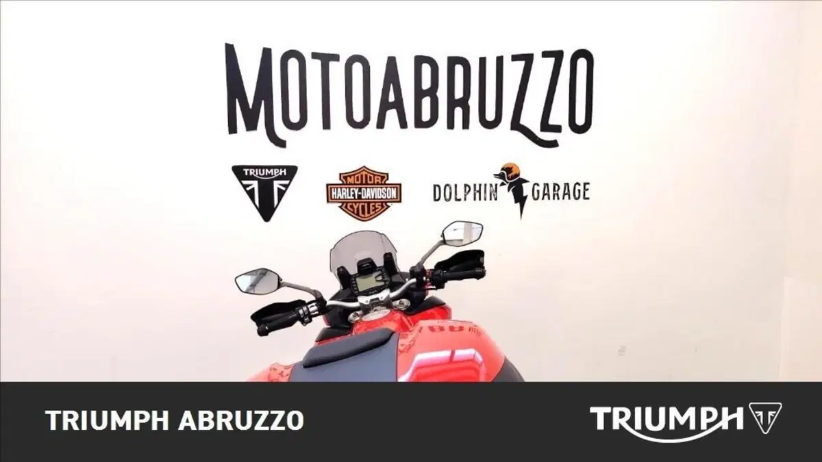 Ducati Multistrada 950 (2018) (12)