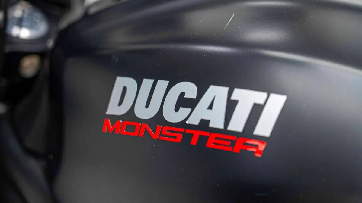 Ducati Monster 821 ABS (2014 - 17) (17)