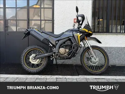 Voge Valico 300 Rally (2022 - 26) usata