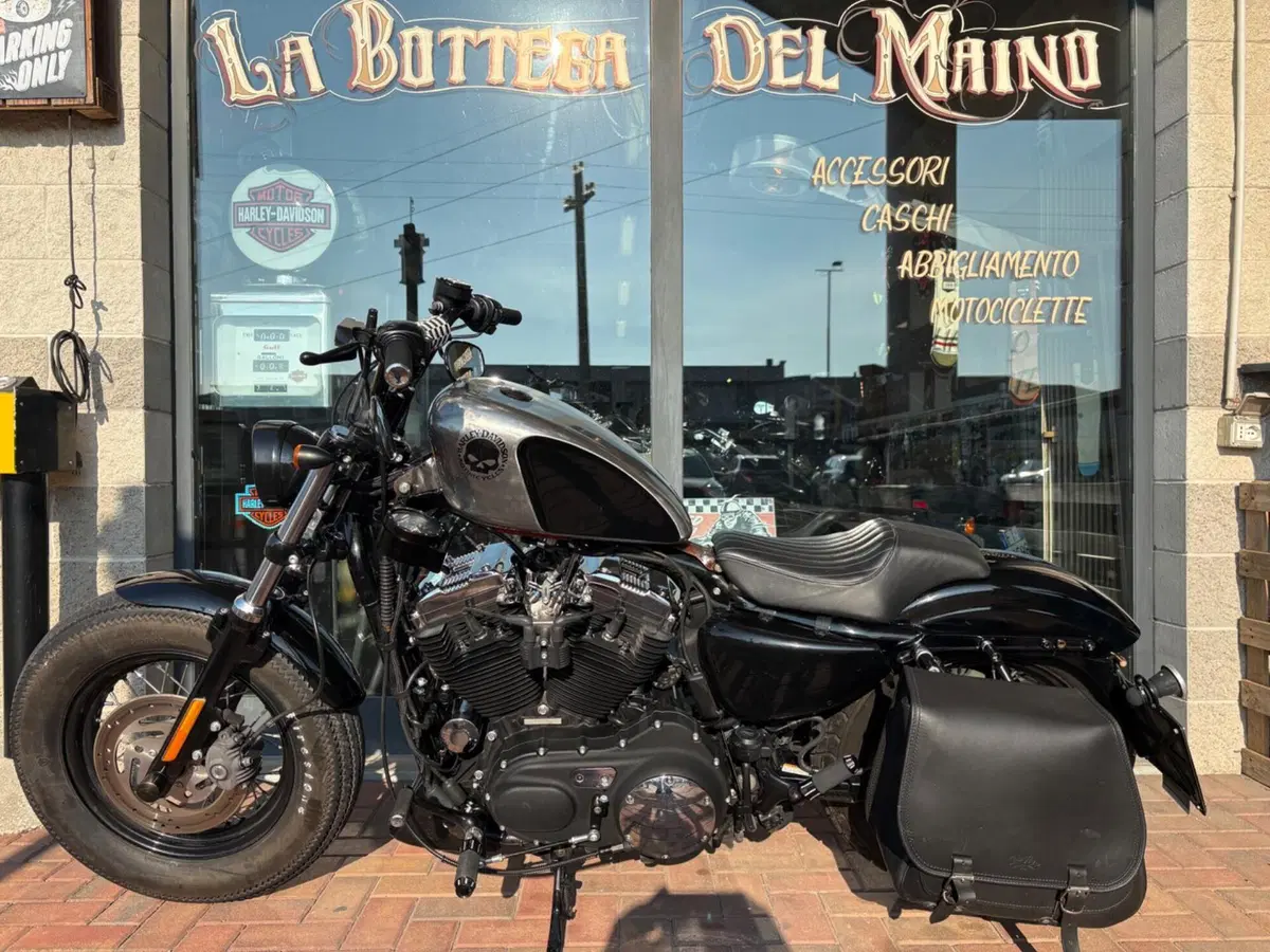 Harley-Davidson 1200 Forty-Eight (2010 - 15) (3)