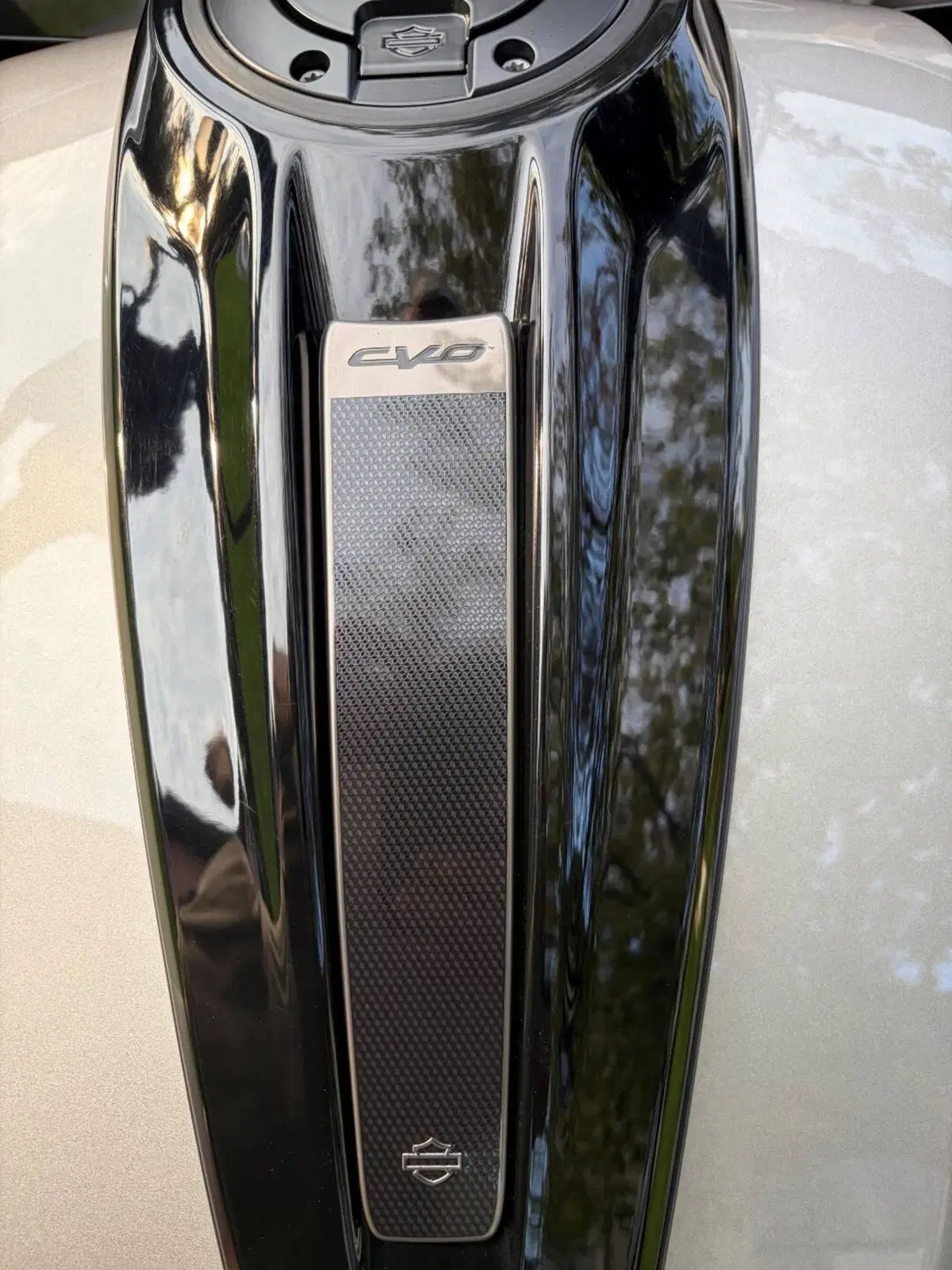 Harley-Davidson CVO Road Glide (2023) (9)