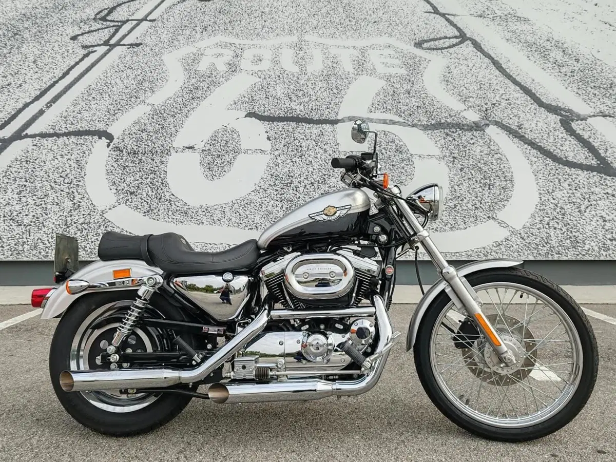 Harley-Davidson 1200 Custom (2001 - 03) - XL 1200C