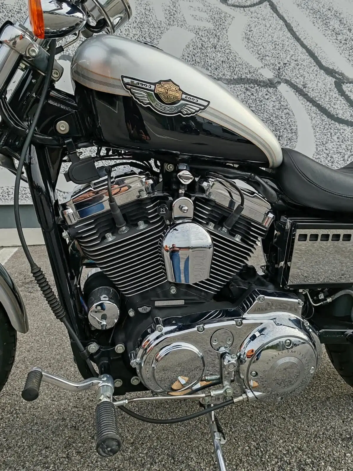 Harley-Davidson 1200 Custom (2001 - 03) - XL 1200C (3)