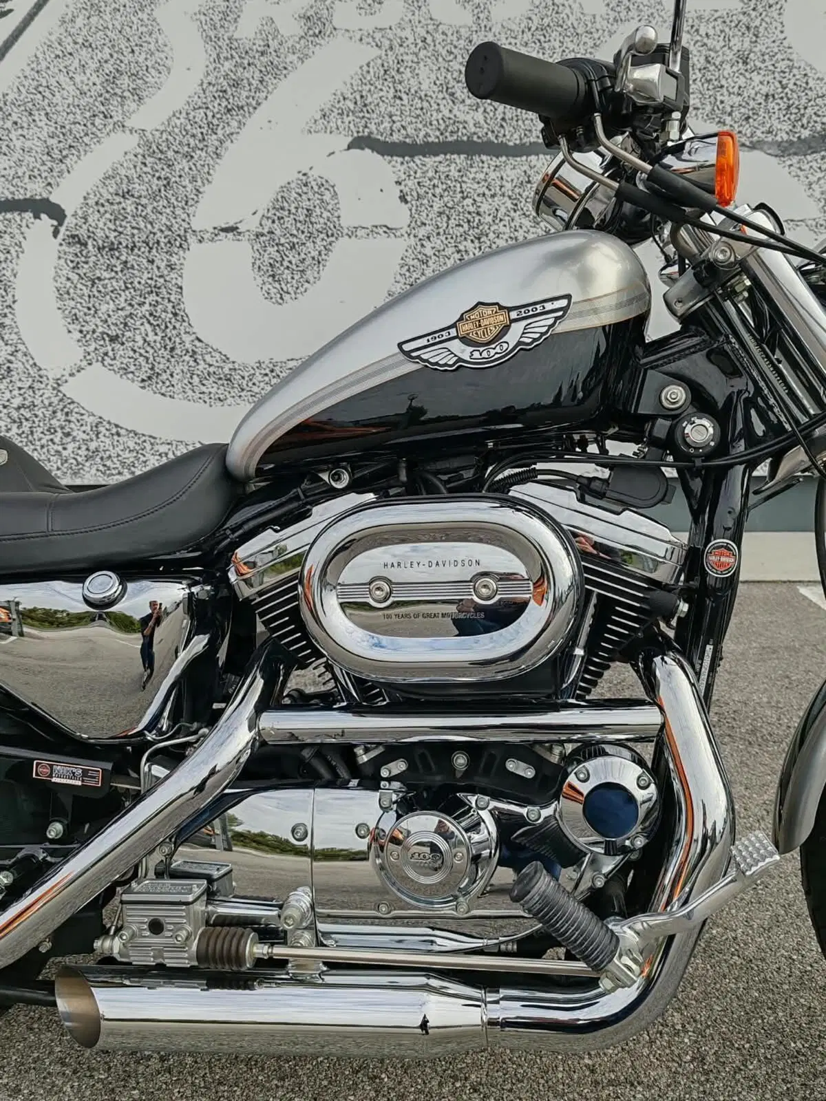 Harley-Davidson 1200 Custom (2001 - 03) - XL 1200C (4)