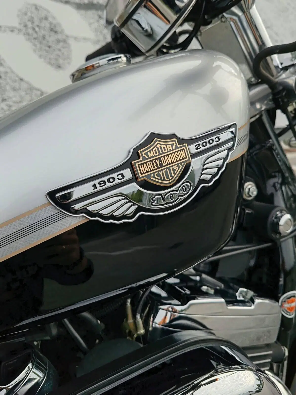 Harley-Davidson 1200 Custom (2001 - 03) - XL 1200C (8)