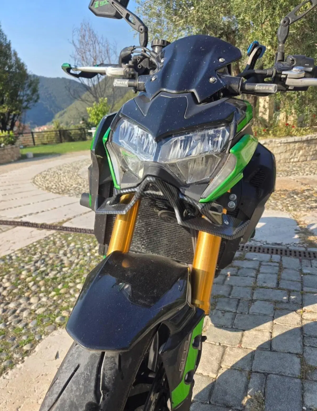 Kawasaki Z 900 RS SE (2022 - 25) (4)