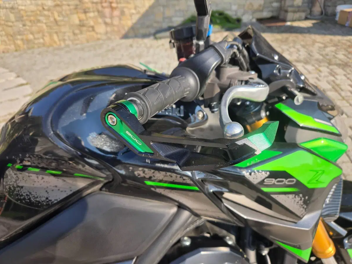 Kawasaki Z 900 RS SE (2022 - 25) (6)