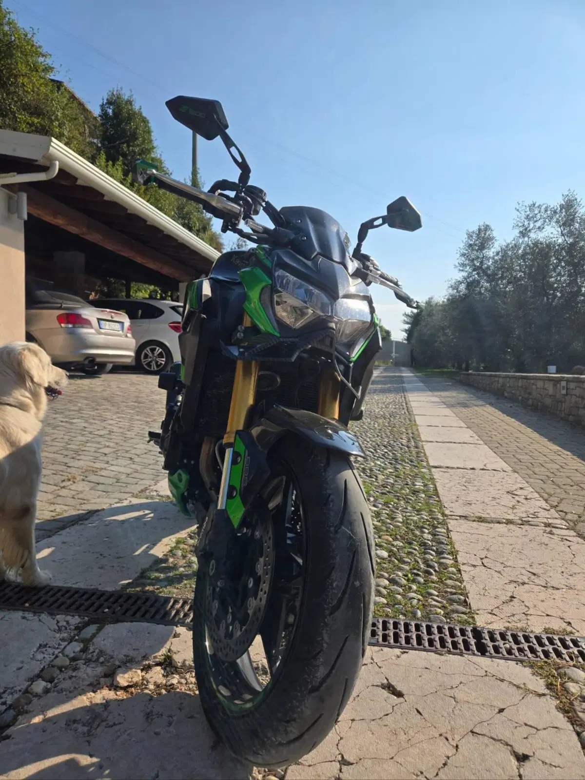 Kawasaki Z 900 RS SE (2022 - 25) (11)