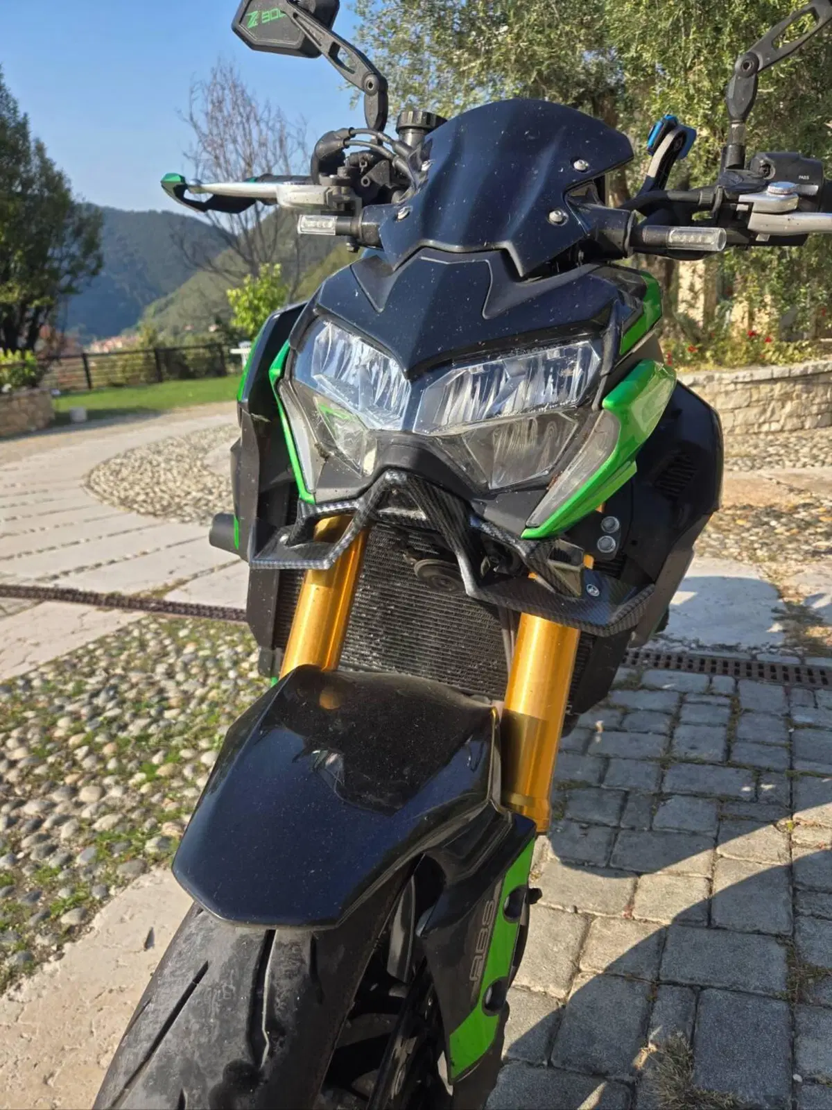 Kawasaki Z 900 RS SE (2022 - 25) (13)