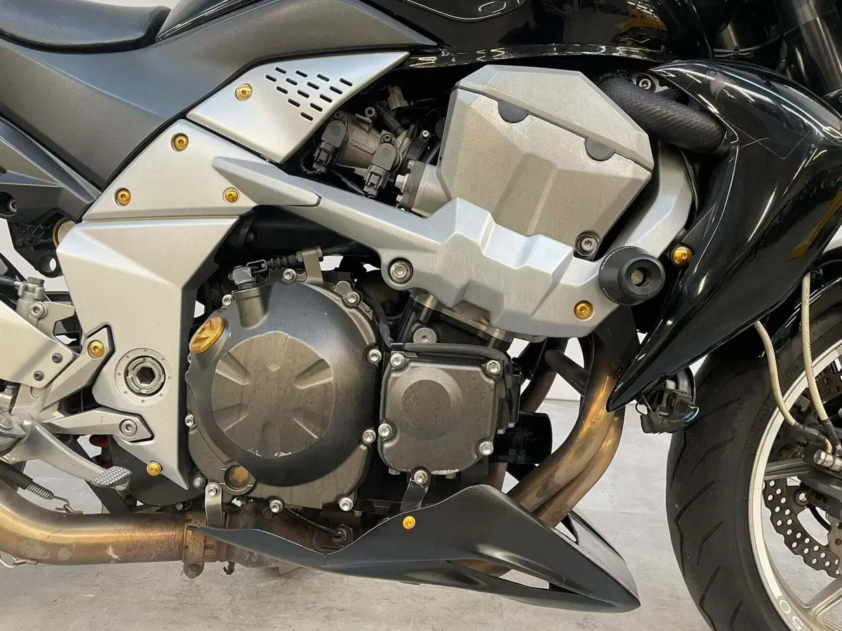 Kawasaki Z 750 (2007 - 14) (11)
