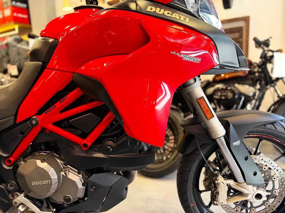 Ducati Multistrada 950 S (2019 - 20) (17)