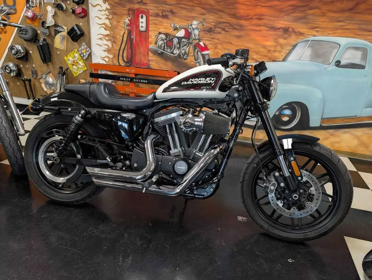 Harley-Davidson XL 1200 CX Roadster (2016 - 18) (2)