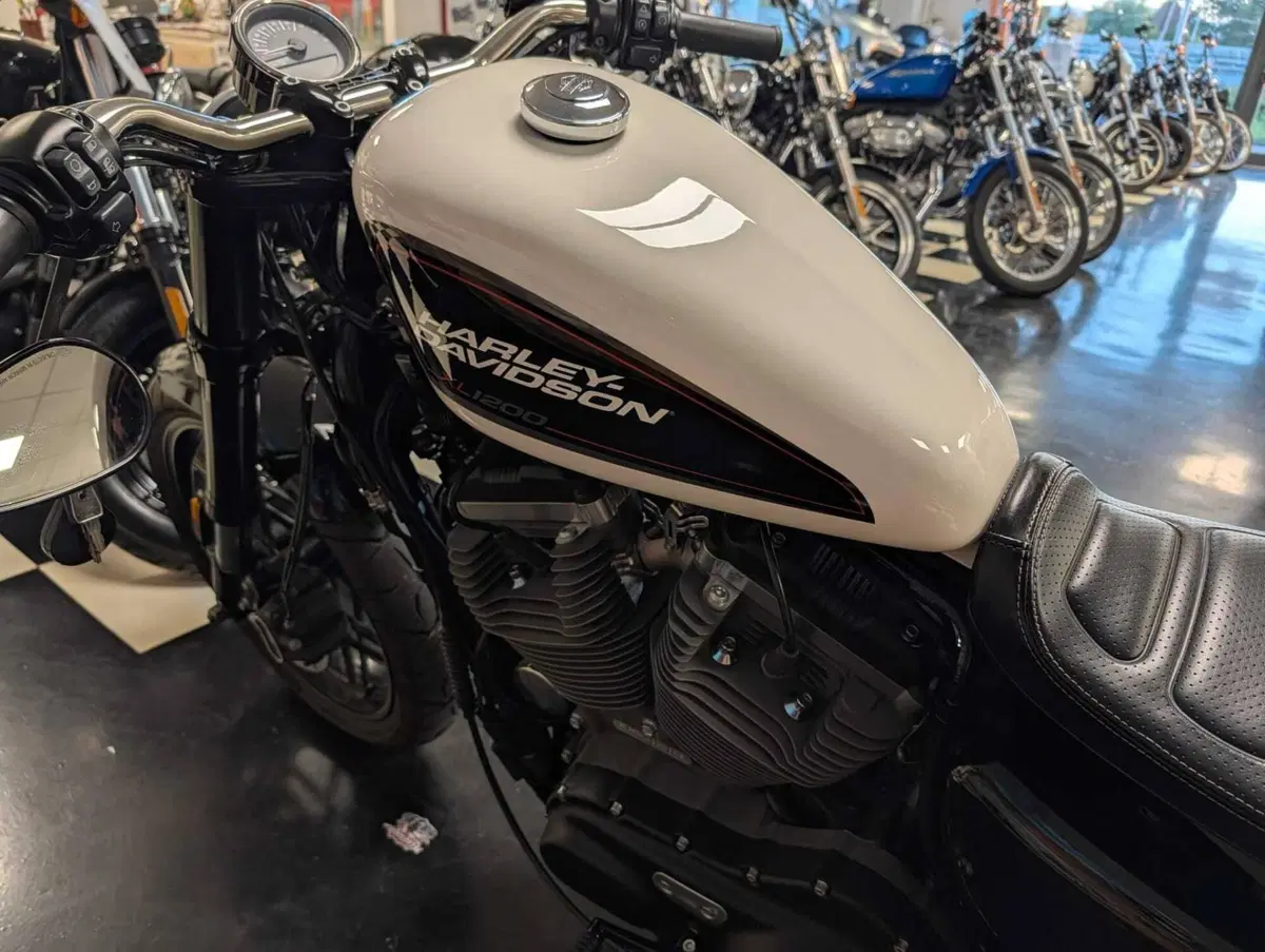 Harley-Davidson XL 1200 CX Roadster (2016 - 18) (4)