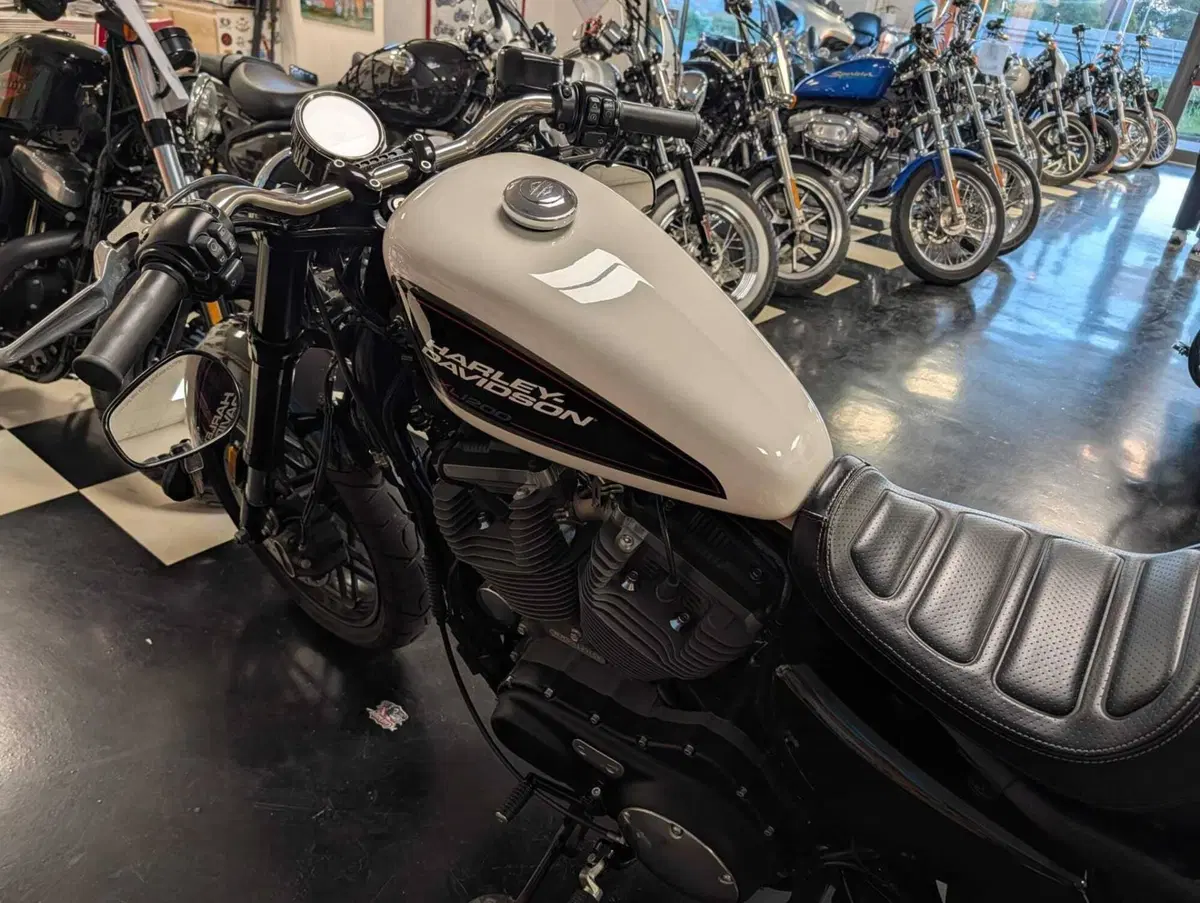 Harley-Davidson XL 1200 CX Roadster (2016 - 18) (5)