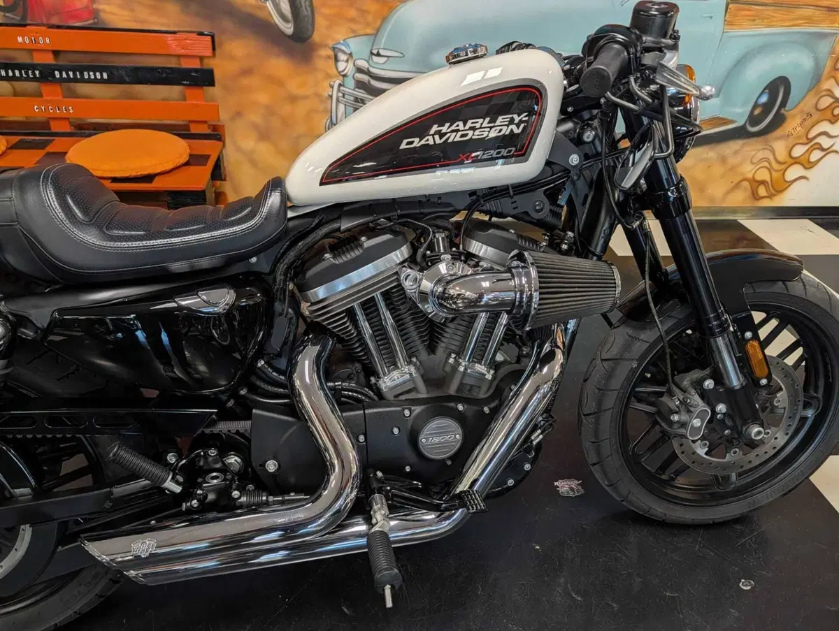 Harley-Davidson XL 1200 CX Roadster (2016 - 18) (11)