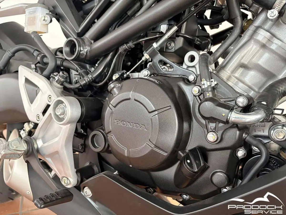 Honda CB 125 R (2021 - 23) (4)