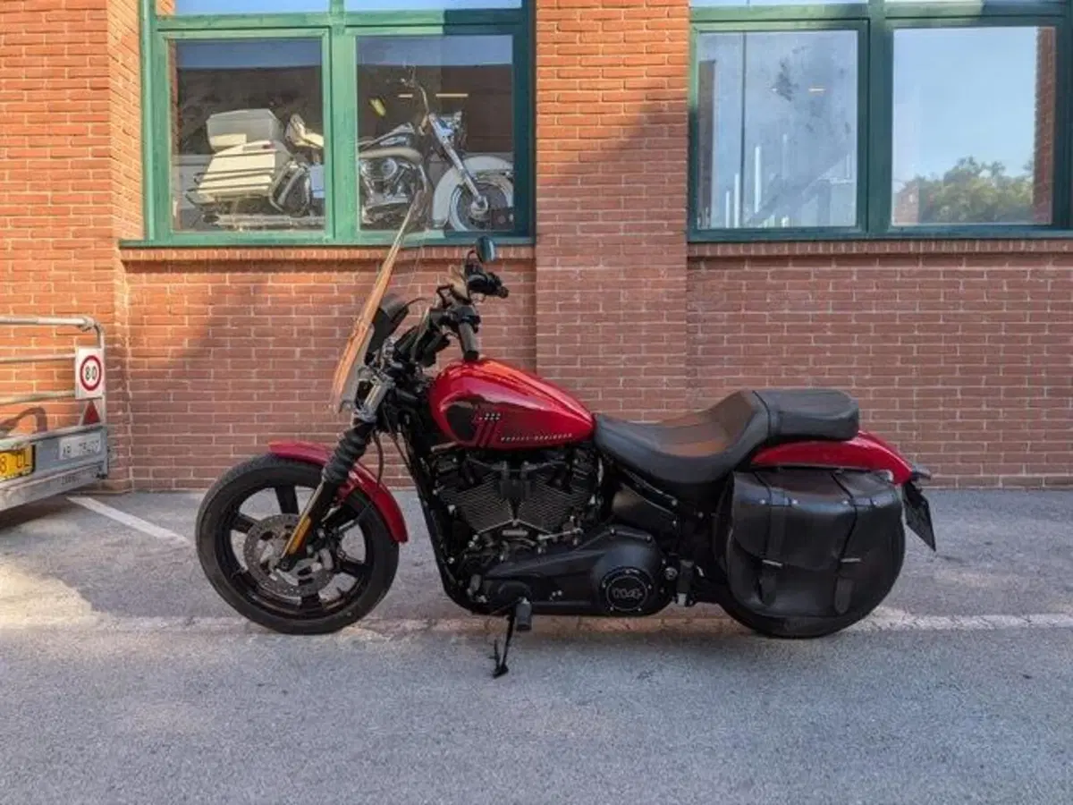 Harley-Davidson Street Bob 114 (2021 - 24) (6)