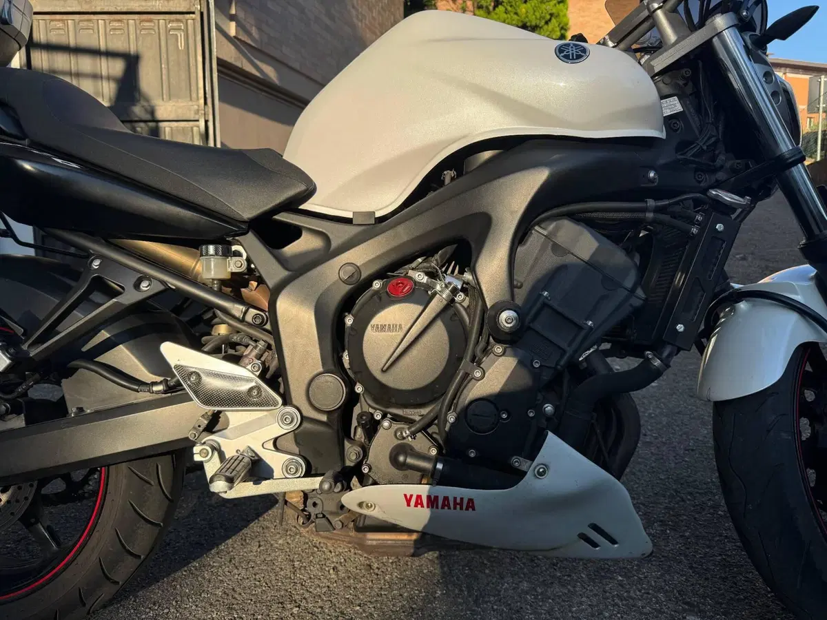 Yamaha FZ6 S2 (2007 - 11) (7)