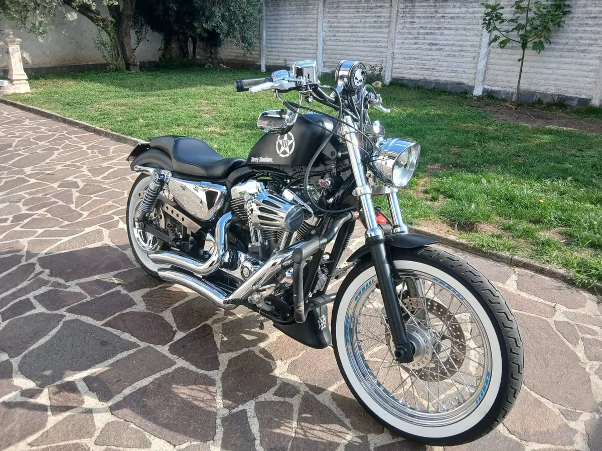Harley-Davidson 1200 Custom (2007 - 13) - XL 1200C (2)