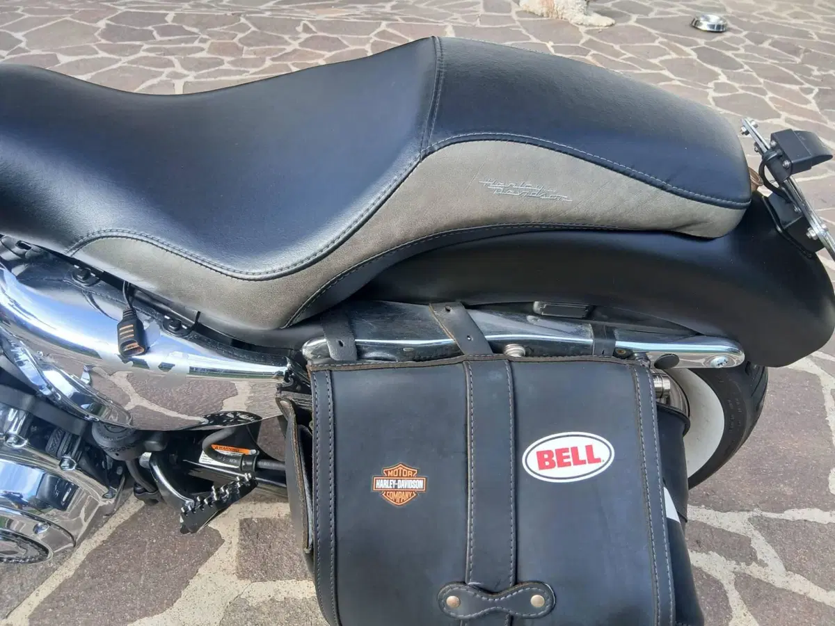 Harley-Davidson 1200 Custom (2007 - 13) - XL 1200C (5)