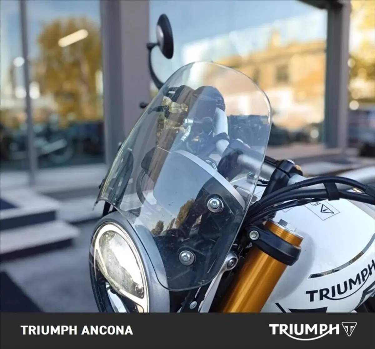 Triumph Speed 400 (2024 - 26) (7)