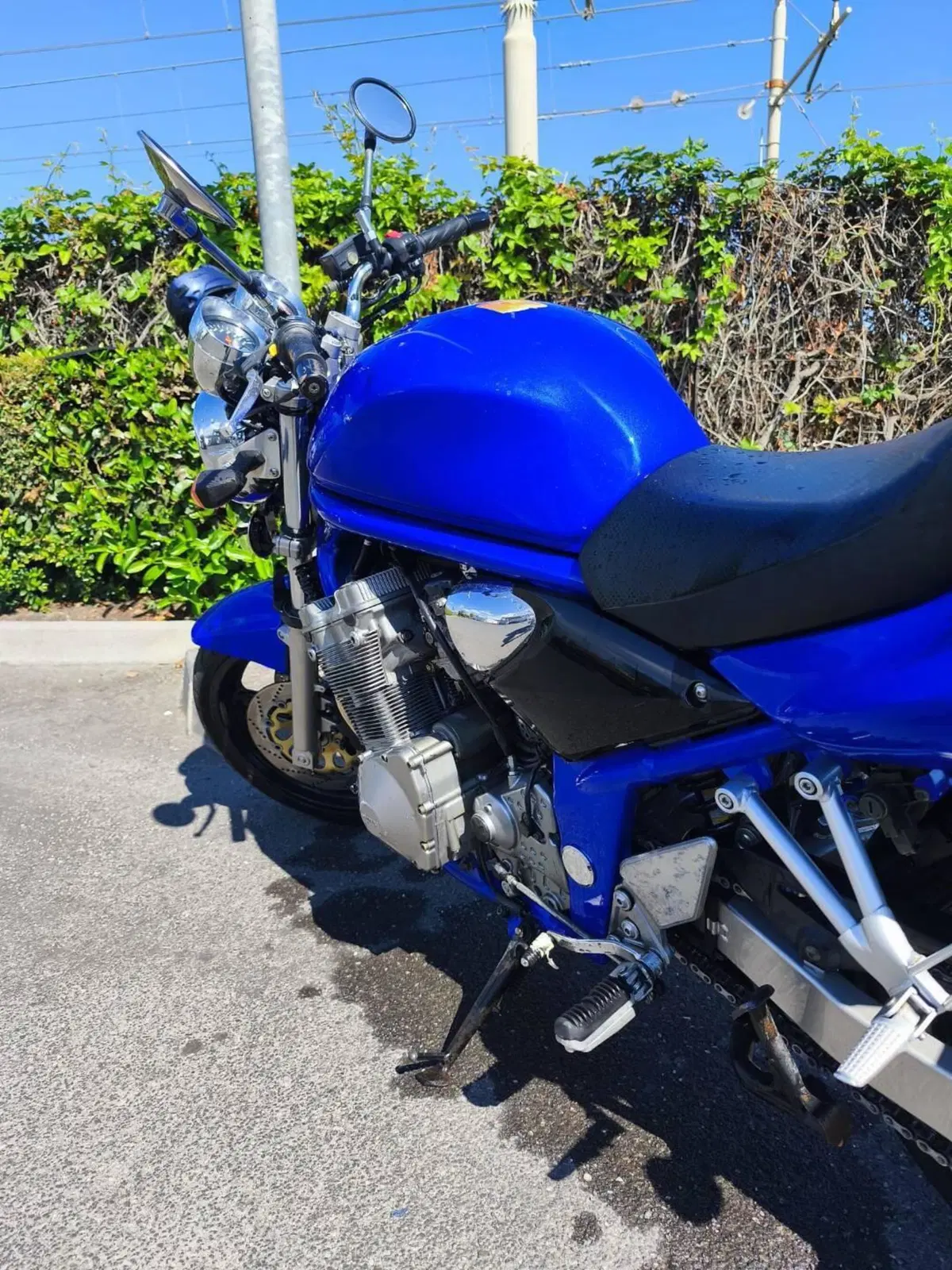 Suzuki GSF 600 Bandit (2000 - 05) (5)