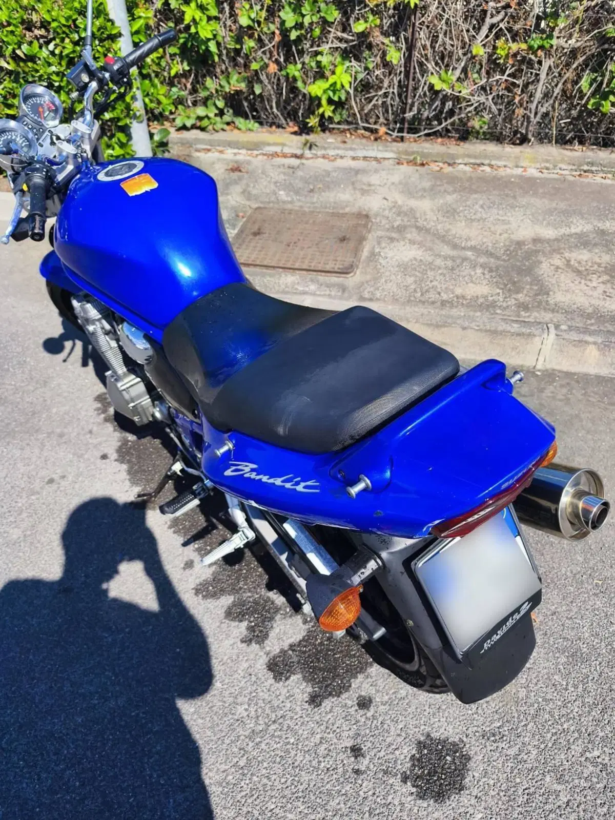 Suzuki GSF 600 Bandit (2000 - 05) (6)