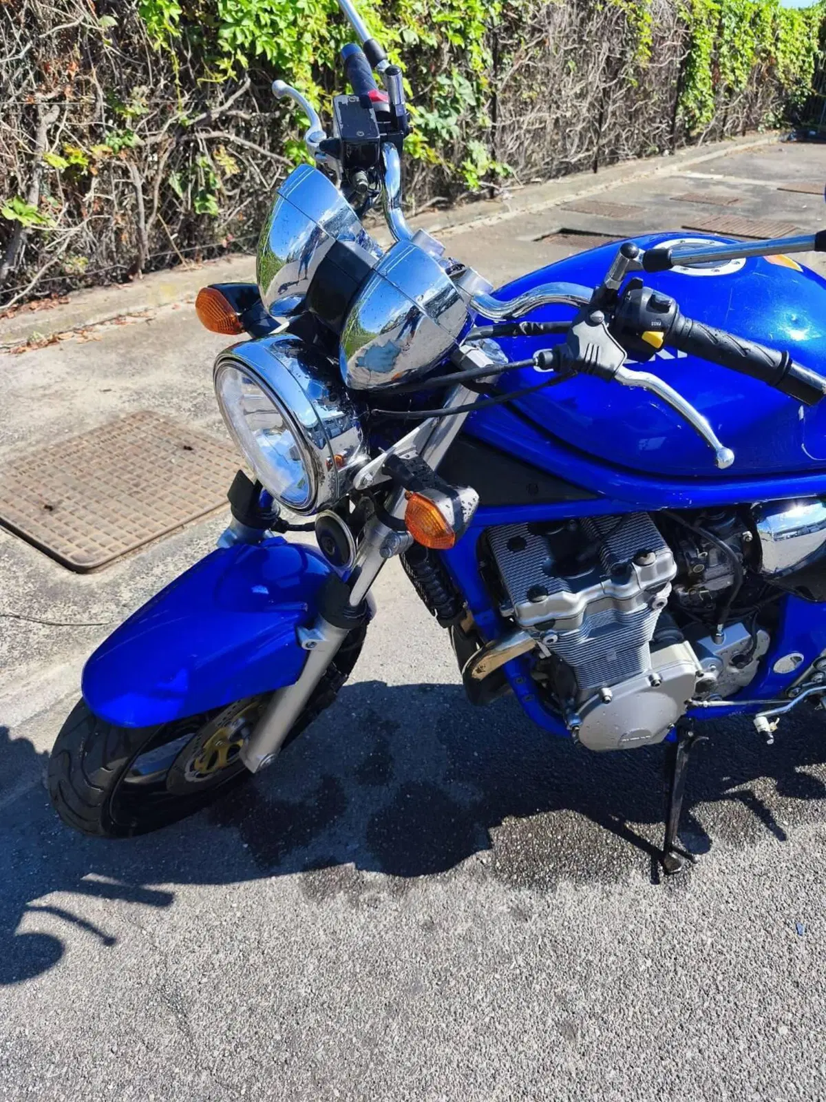 Suzuki GSF 600 Bandit (2000 - 05) (8)