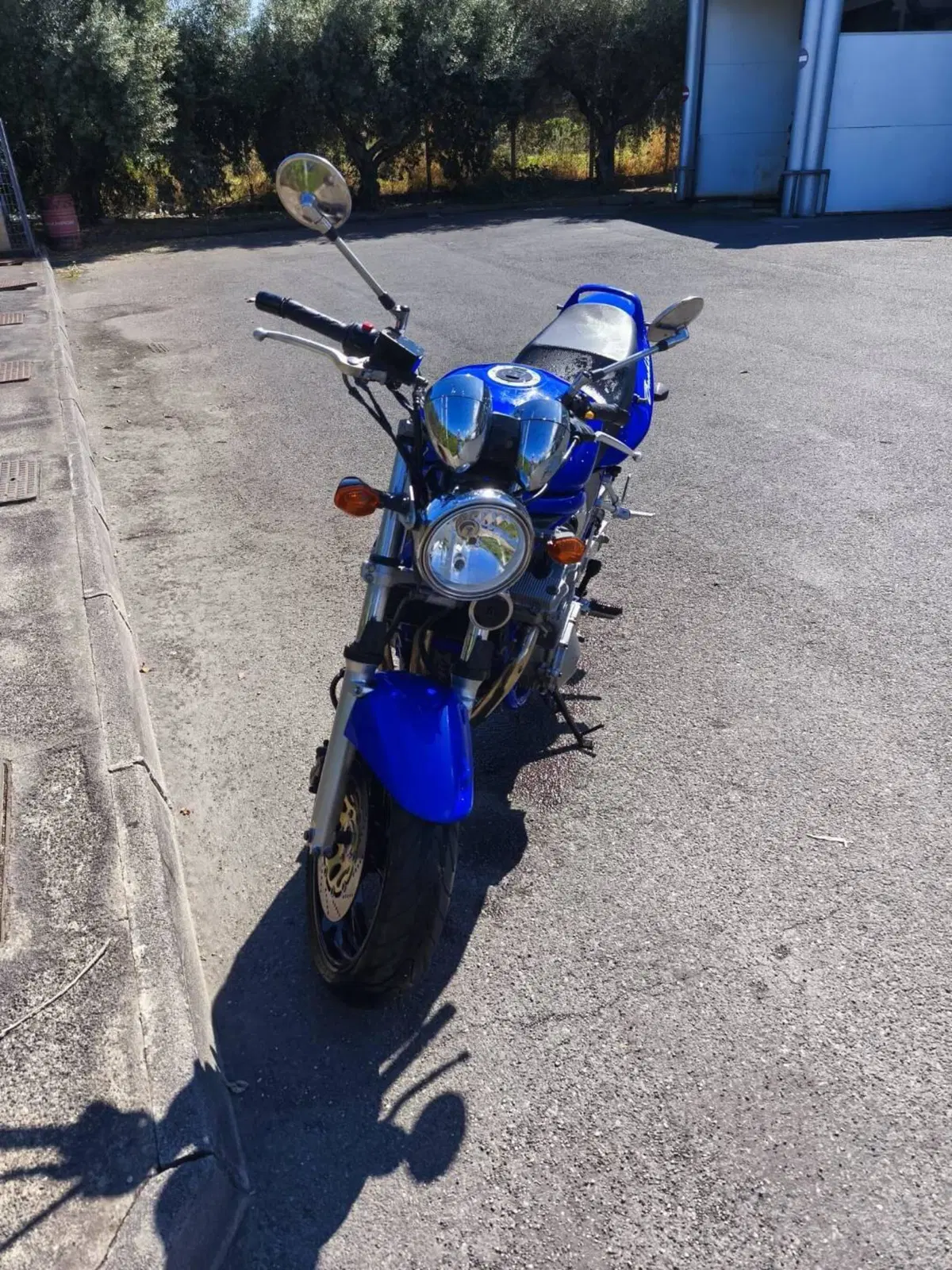 Suzuki GSF 600 Bandit (2000 - 05) (9)