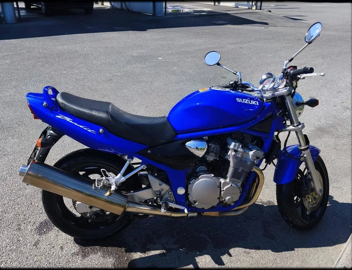 Suzuki GSF 600 Bandit (2000 - 05) (11)