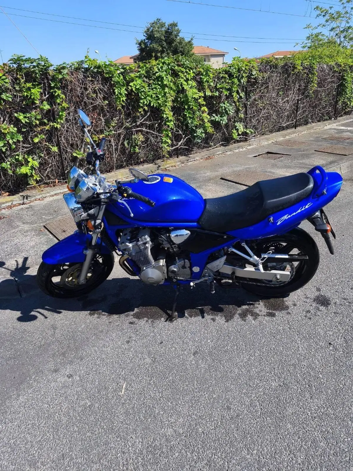 Suzuki GSF 600 Bandit (2000 - 05) (13)