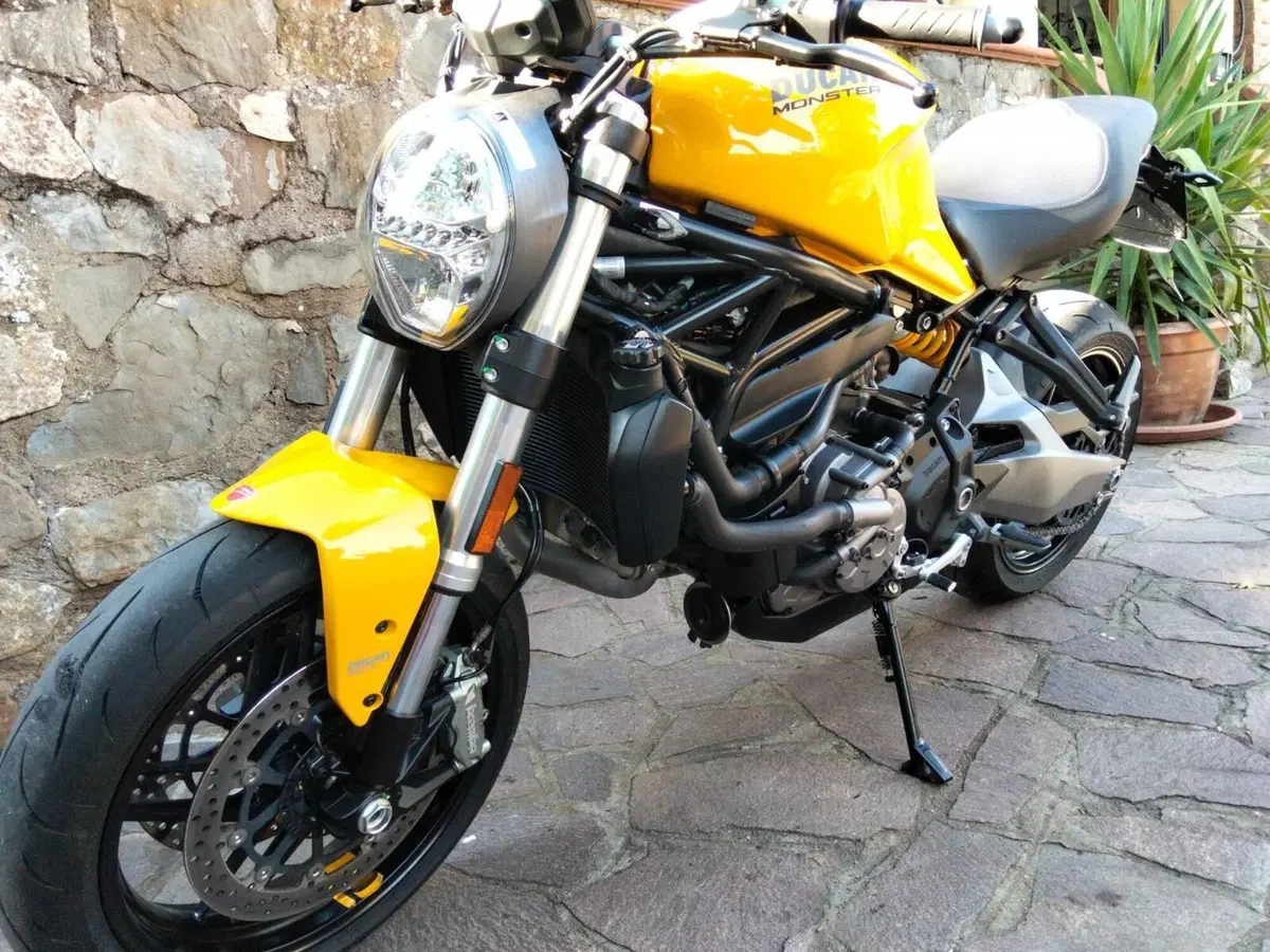 Ducati Monster 821 (2018 - 20) (4)