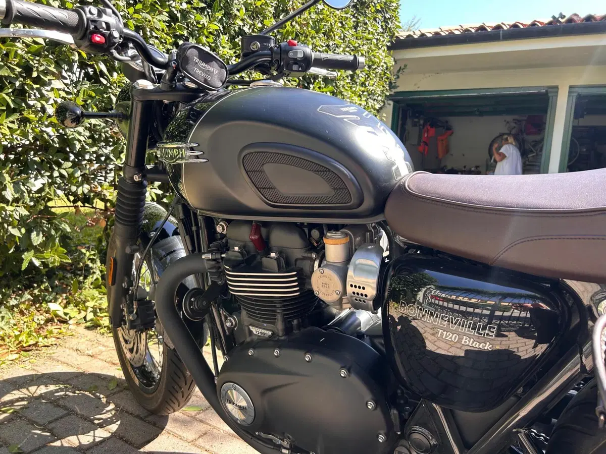 Triumph Bonneville T120 Black (2021 - 25) (3)