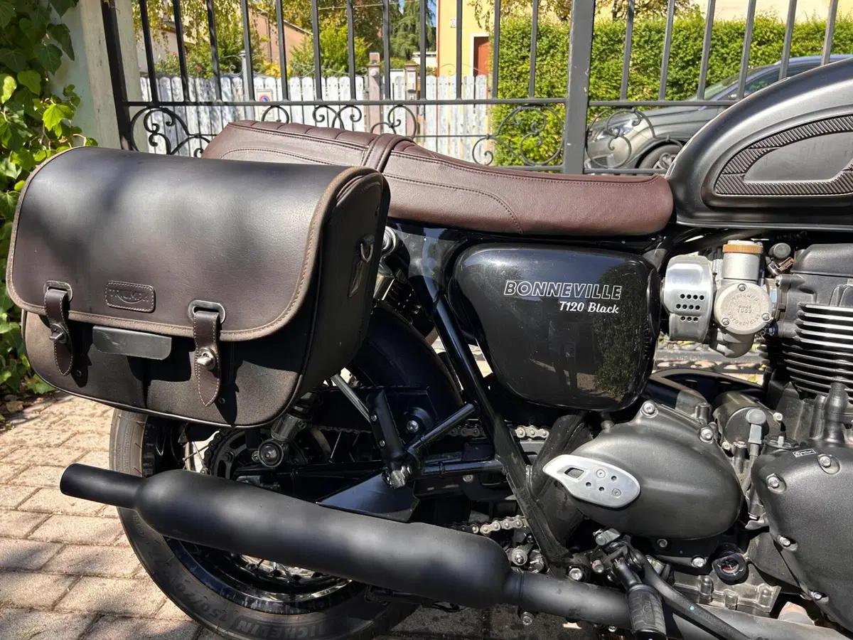 Triumph Bonneville T120 Black (2021 - 25) (8)