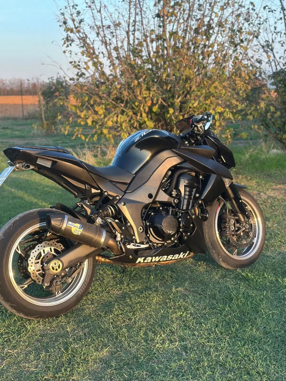 Kawasaki Z 1000 (2010 - 13) (2)