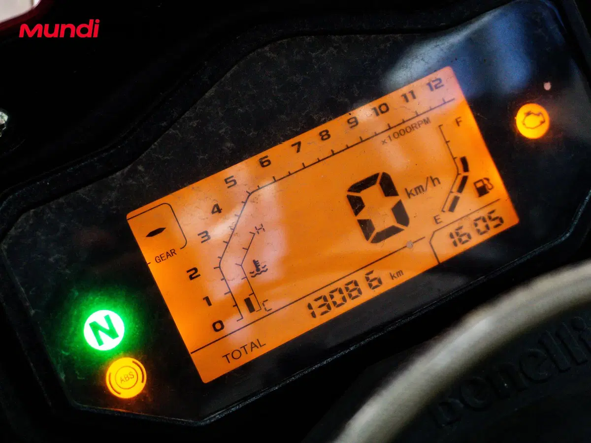 Benelli TRK 251 (2019 - 20) (12)
