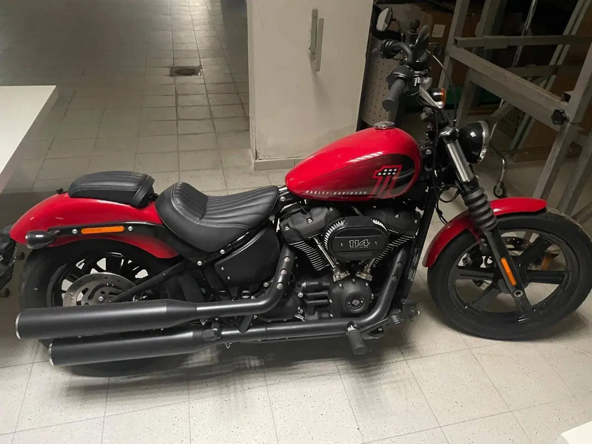 Harley-Davidson Street Bob 114 (2021 - 24)