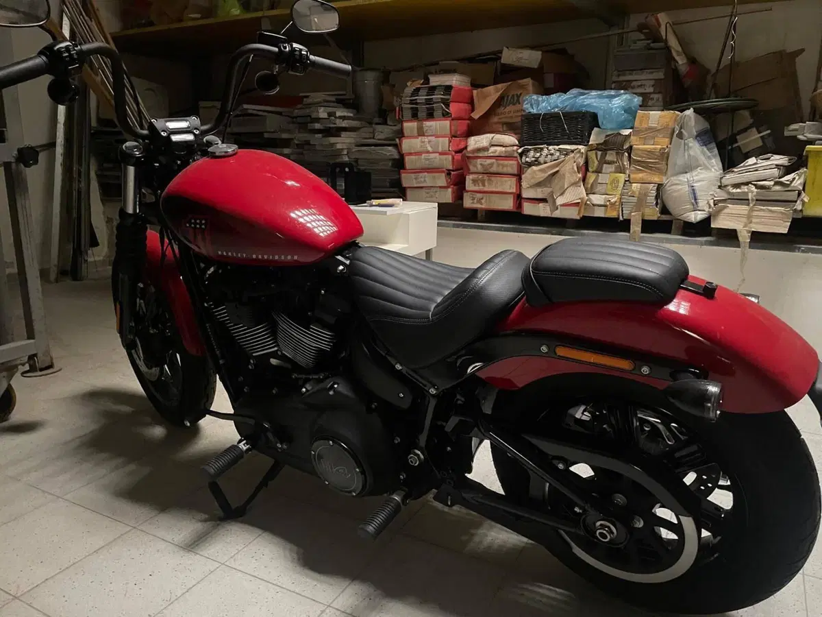 Harley-Davidson Street Bob 114 (2021 - 24) (3)