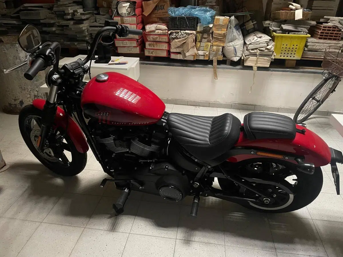 Harley-Davidson Street Bob 114 (2021 - 24) (5)