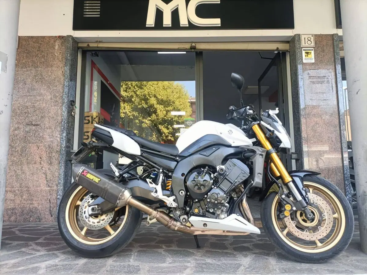 Yamaha FZ8 (2010 - 12) (2)