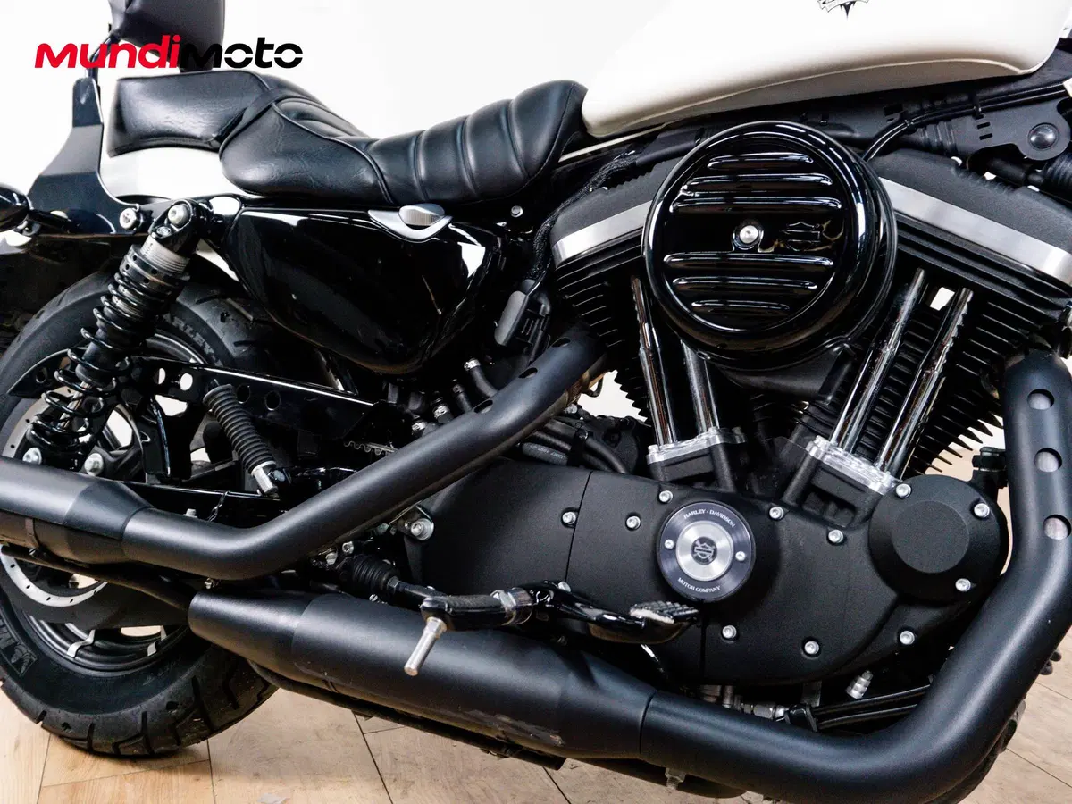 Harley-Davidson 883 Iron (2009 - 11) - XL 883N (5)