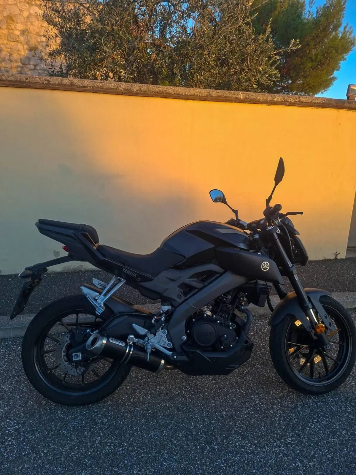 Yamaha MT-125 ABS (2015 - 16) (3)