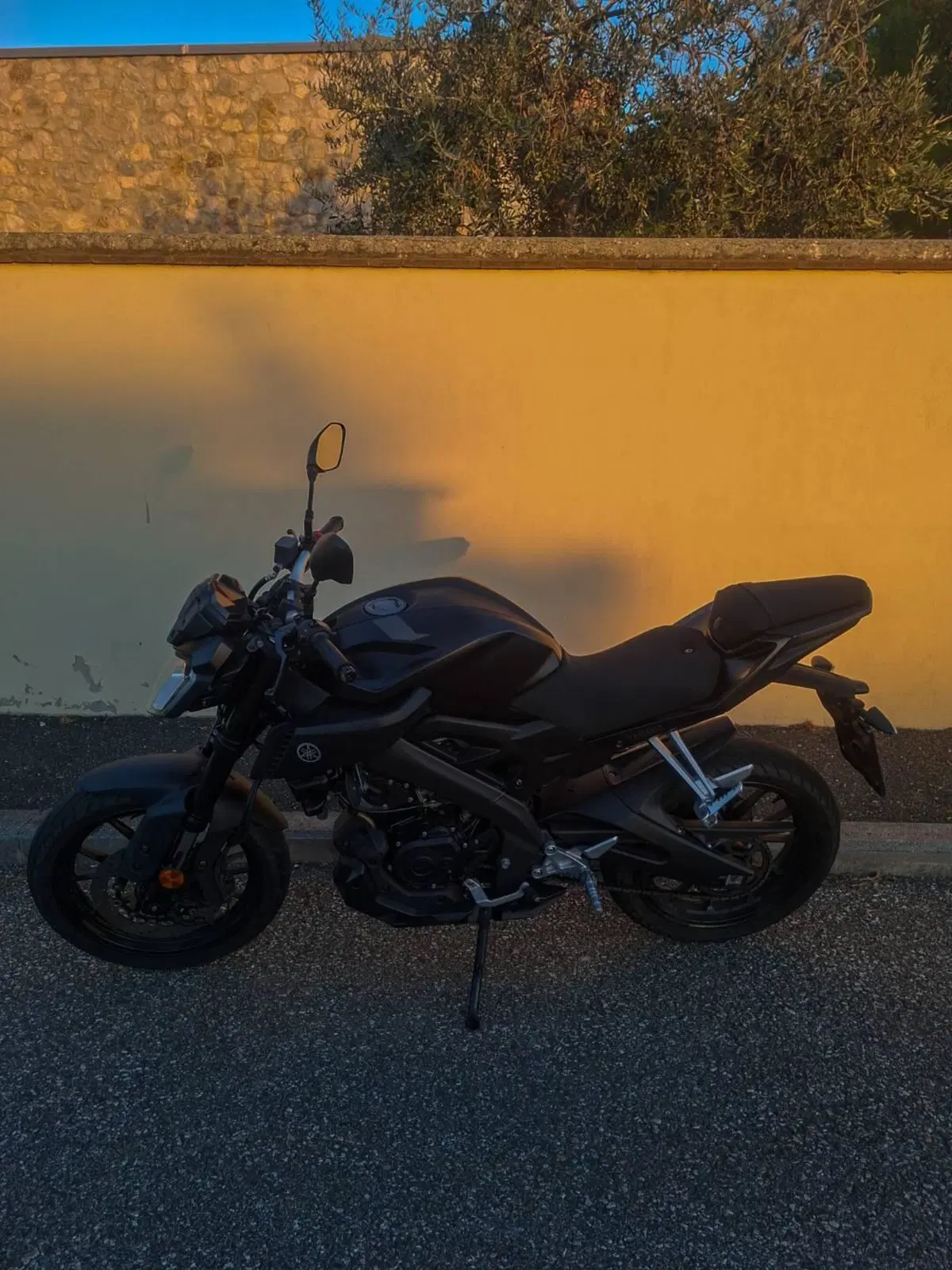 Yamaha MT-125 ABS (2015 - 16) (4)