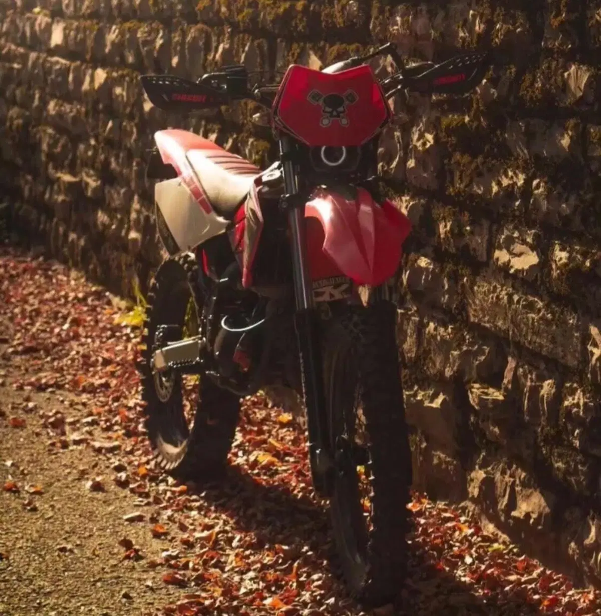 Betamotor RR 50 Enduro (2007 - 09)