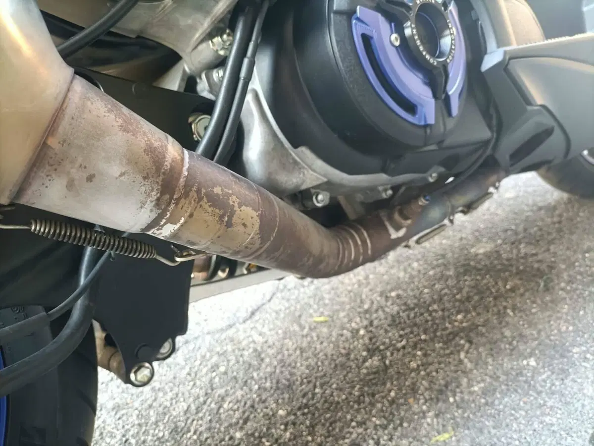 Yamaha T-Max 560 (2022 - 24) (6)