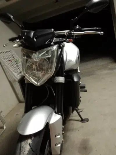 Yamaha FZ1 (2006 - 16) usata