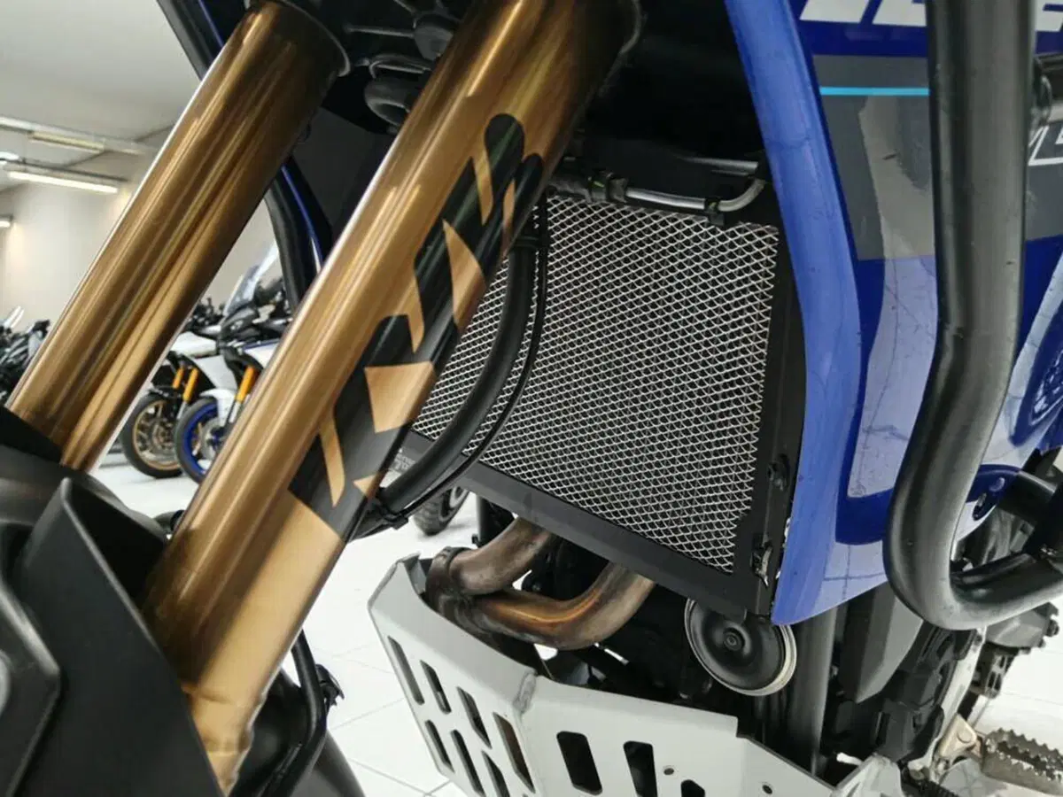 Yamaha Ténéré 700 Extreme Edition (2023 - 25) (8)