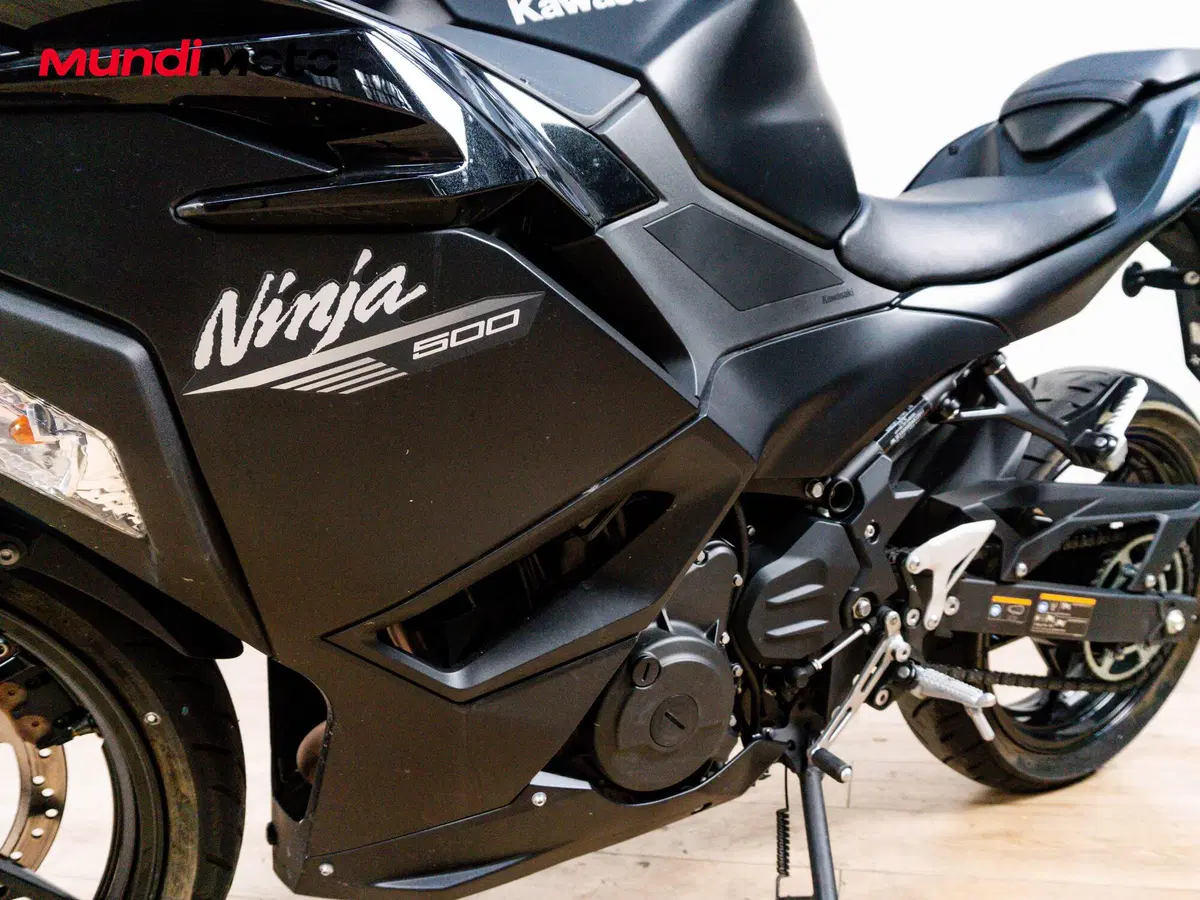 Kawasaki Ninja 500 (2024 - 26) (9)